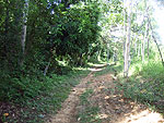 Path leading from the house to the lagoon