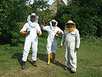 Rvisant les ruches avec un invit