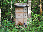 A three story beehive