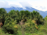 La chaine de montagne Cordillera Escalera.  Tambo Ilusin est situ dans la zone d'amortissement de cette aire de conservation rgionale