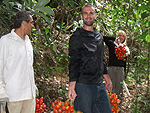 Harvesting pijuayo (peach-palm), the delicious fruit of a palm tree