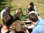 Belgium guests planting a rubber tree on the property