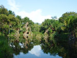 La prcieuse lagune de Tambo Ilusin, un oasis pour une varit d'oiseaux et autres animaux